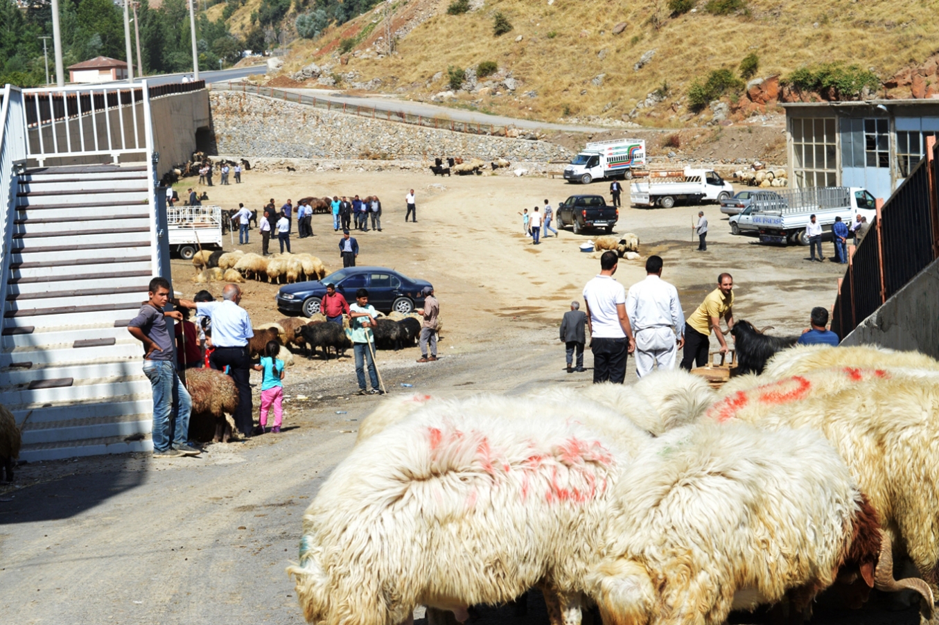 Bitlis’te kurbanlık satıcıları umduğunu bulamadı